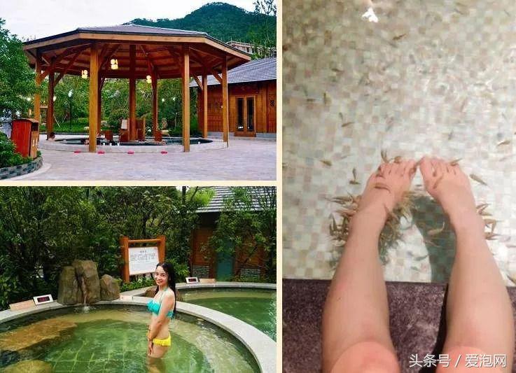 宁波森林汤泉温泉,宁波半山汤谷温泉