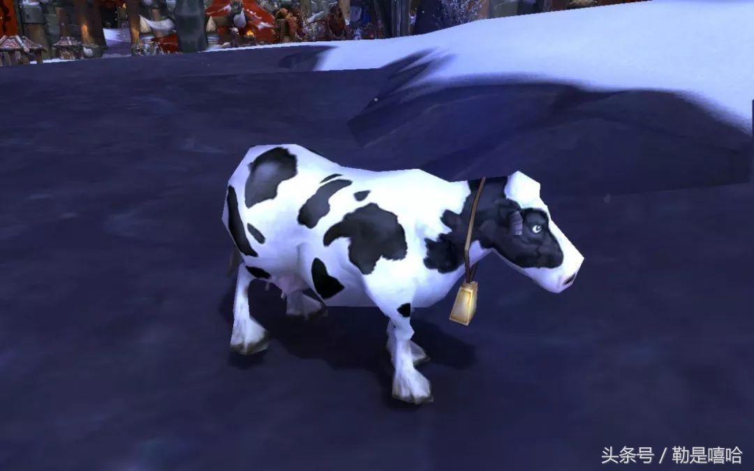 魔兽世界各种稀有宠物排名,魔兽世界稀有宠物排行榜