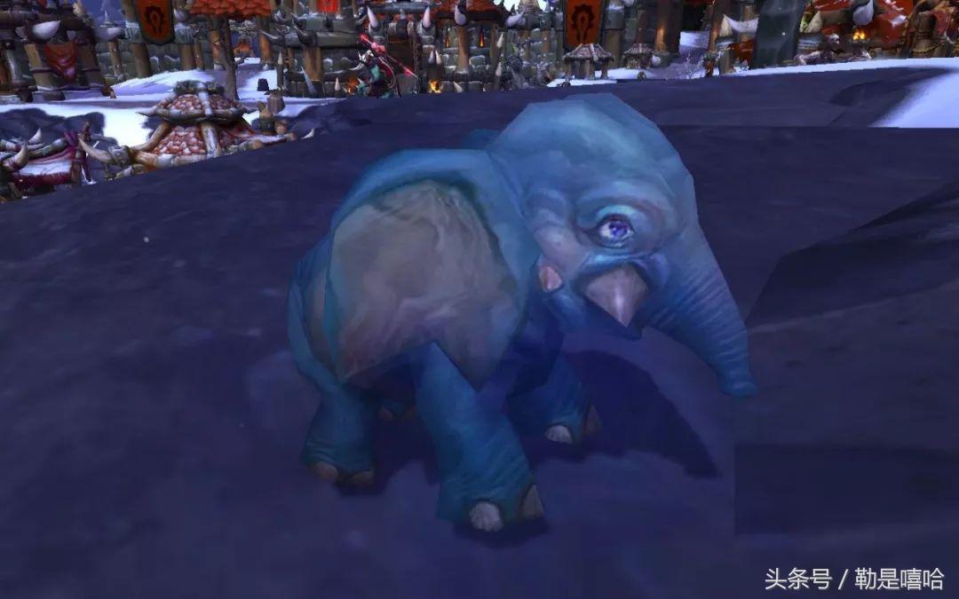 魔兽世界各种稀有宠物排名,魔兽世界稀有宠物排行榜