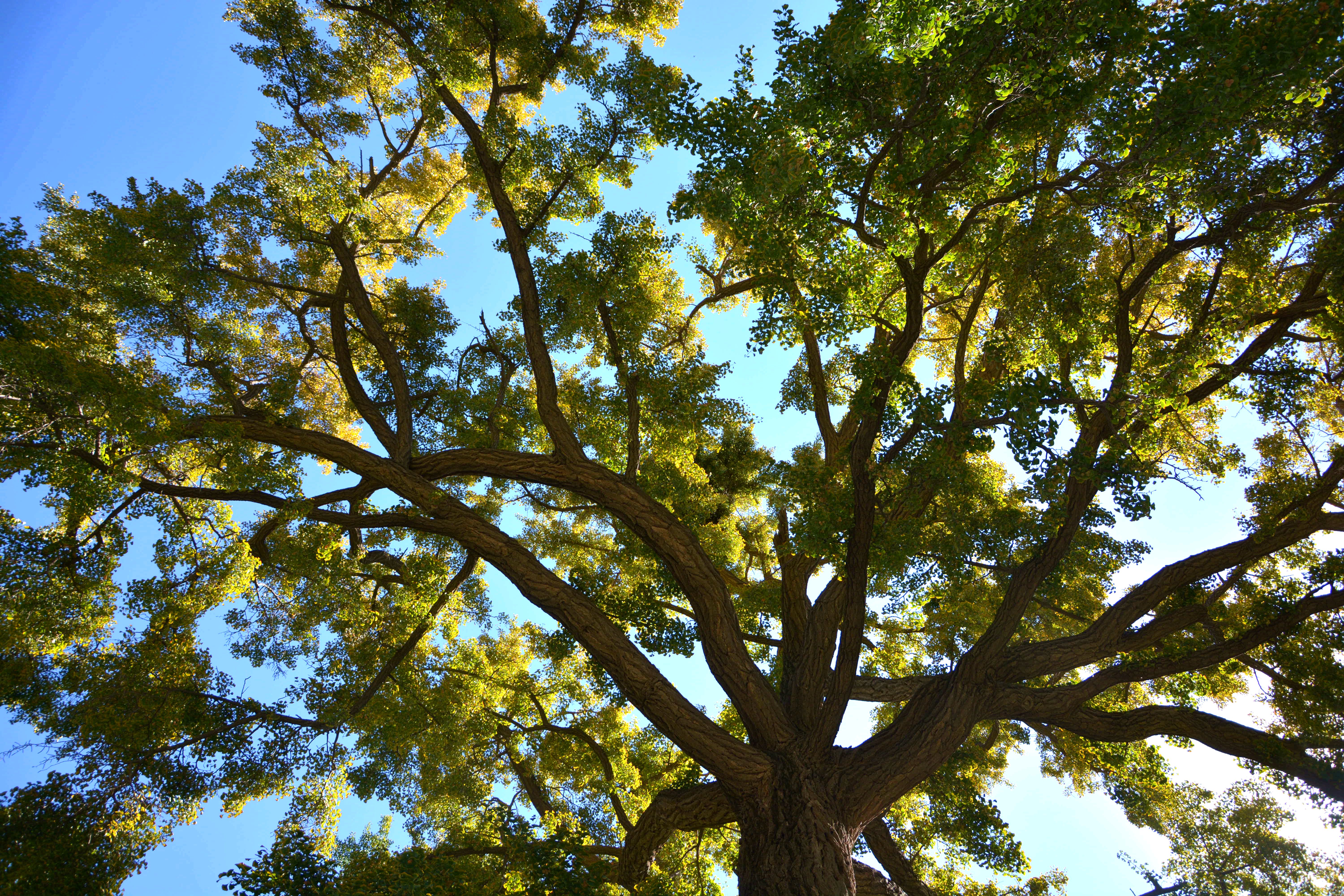盘山旅游游记,盘山最新旅游攻略一日游