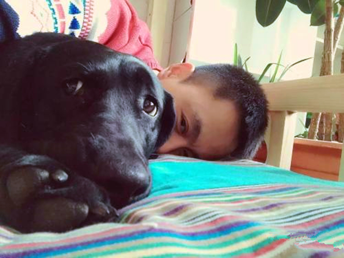 铲屎官养狗狗,养狗狗的铲屎官心都碎了