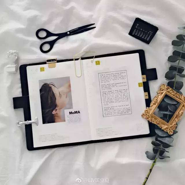 推荐几个靠谱的手帐博主,最好的几个手帐博主