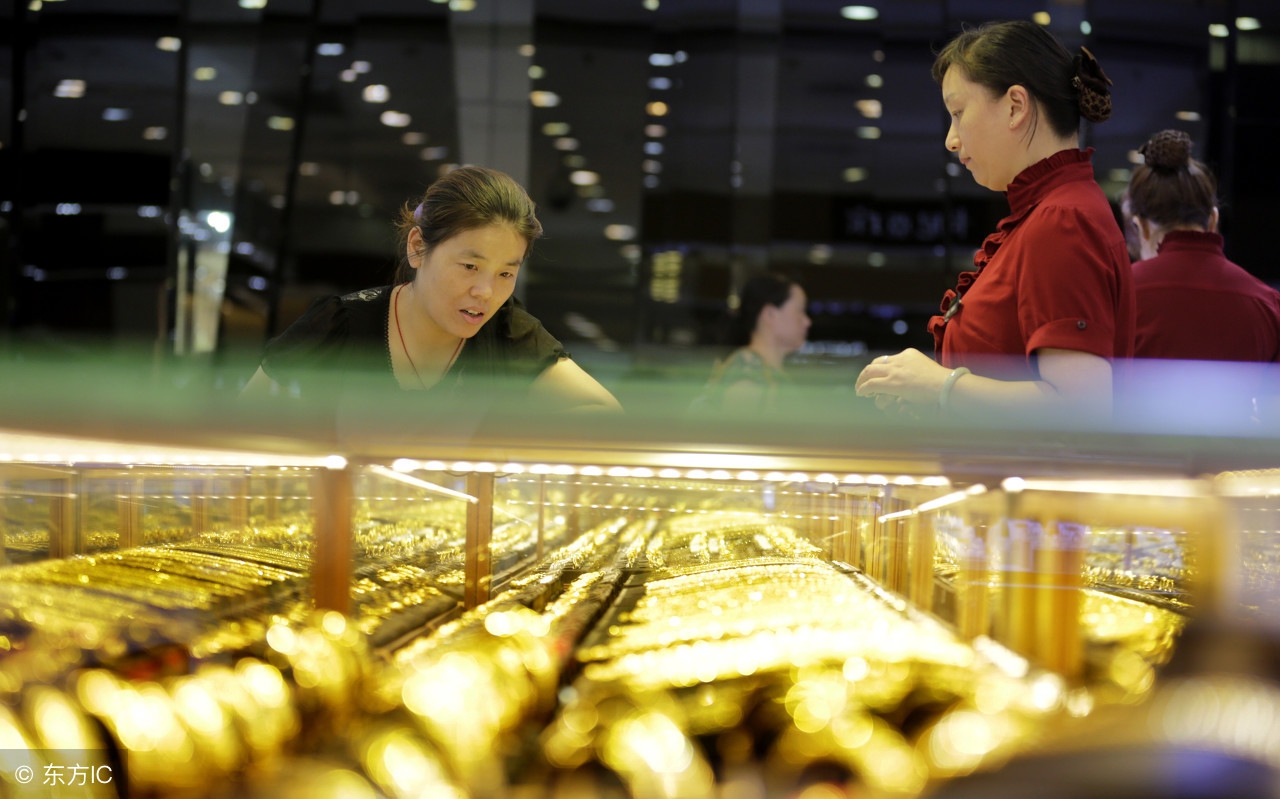 小龙早参怎么样,小龙早参什么时候上市