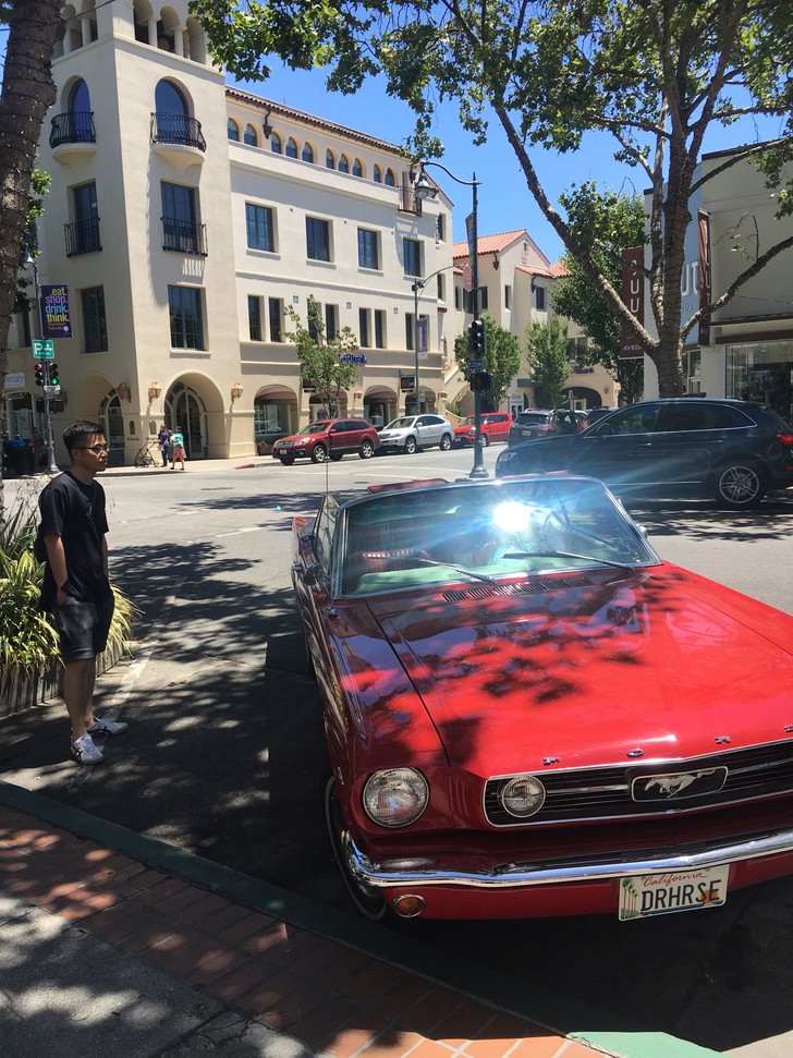 美国纽约自驾游最佳路线图,美国西部大环线自驾游攻略