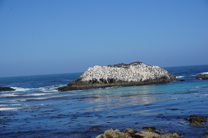 美国纽约自驾游最佳路线图,美国西部大环线自驾游攻略