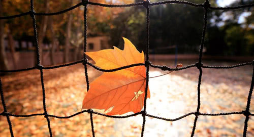 写景秋天的作文300字,写景秋天的作文600字初中