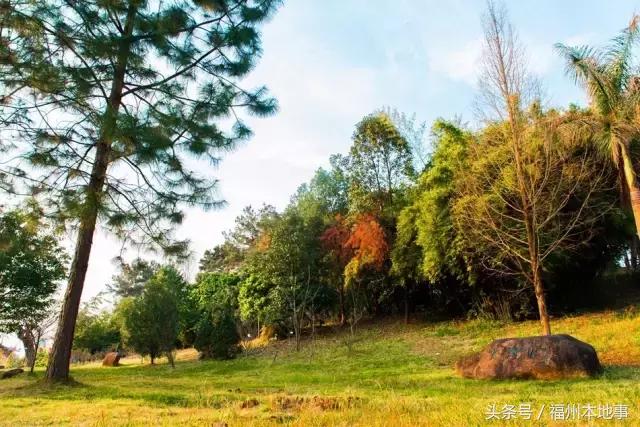 福州一中在全国排名,福州一中在福建的头衔
