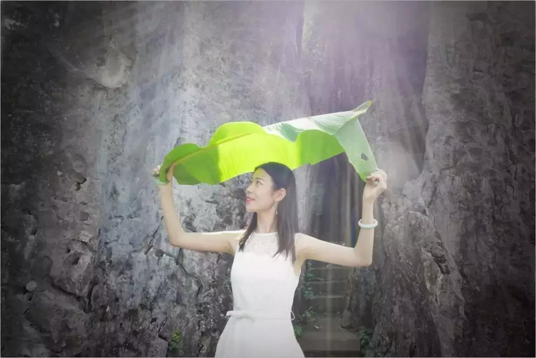 江川区网红粉黛乱子草,网红粉黛乱子草如梦似幻的美景