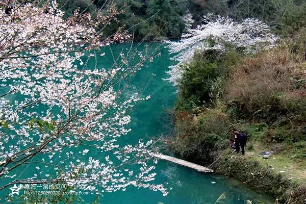 农秀才：农业农村部推荐100个休闲农业和乡村旅游精品景点线路