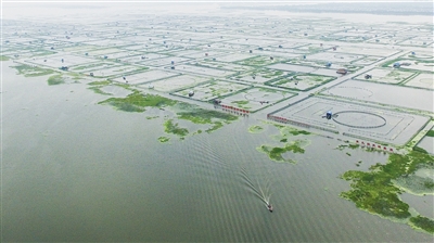 假冒阳澄湖大闸蟹怎么处罚,阳澄湖大闸蟹假蟹戴上真防伪扣