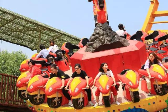 跟着萌宠过国庆，准备好迎接惊喜了吗？