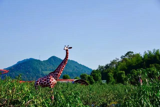 跟着萌宠过国庆，准备好迎接惊喜了吗？