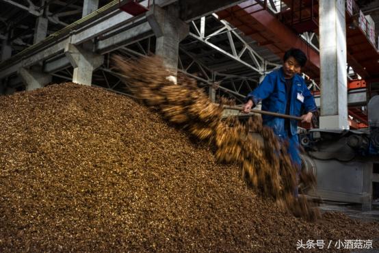 多粮酿酒的方法步骤,酿酒工艺全程五大步骤你知道多少
