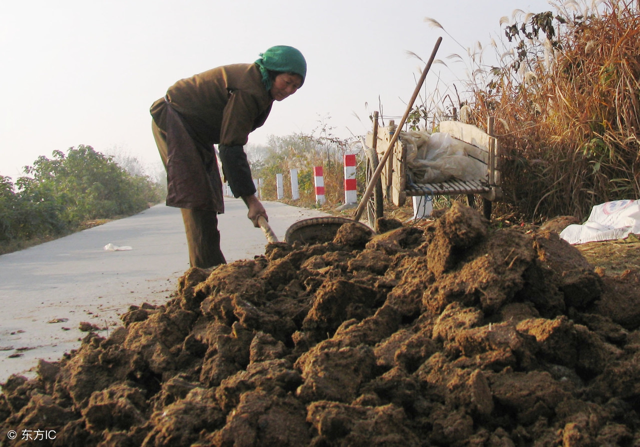 鸡粪有机肥原料真的都是鸡粪吗,鸡粪肥真的是鸡粪吗