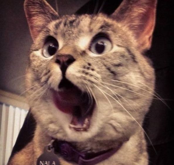 国庆装修价格会优惠吗,国庆装修