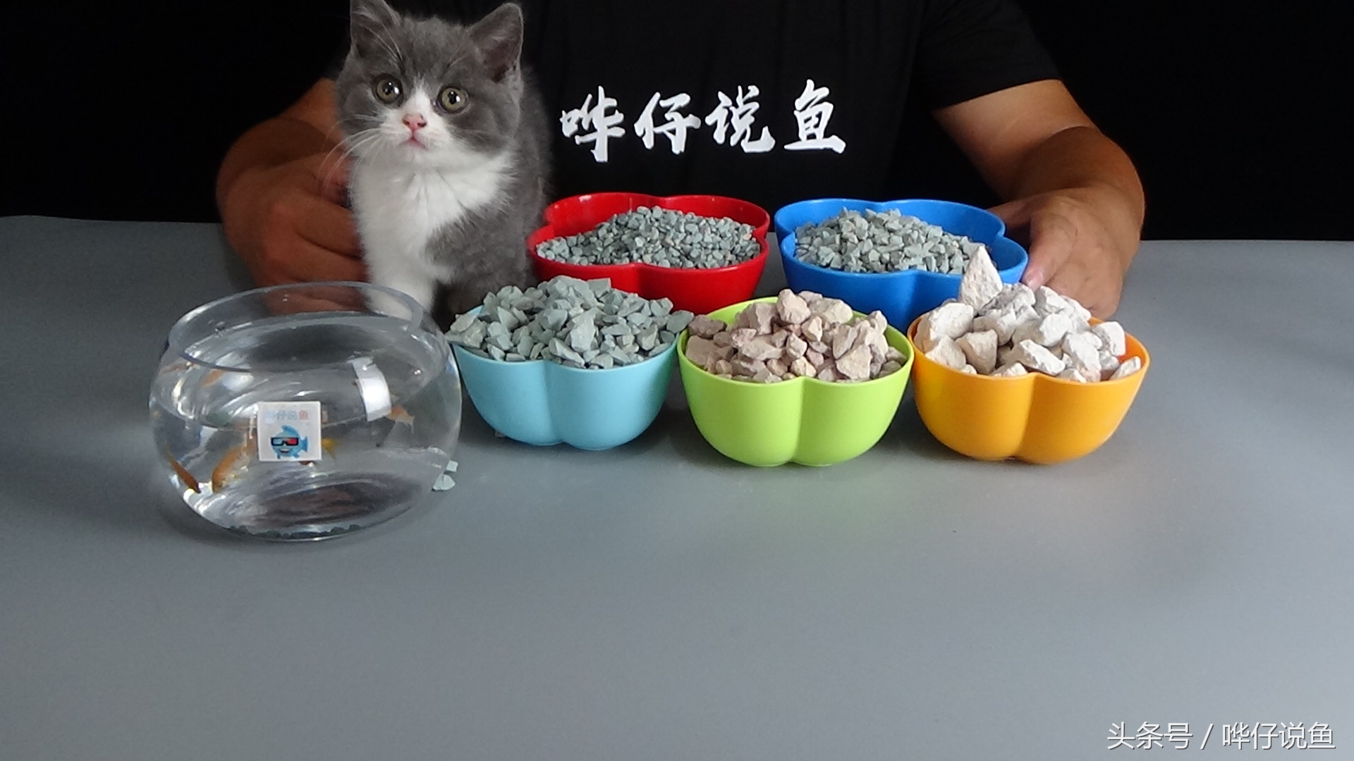 明人不说暗话下一句怎么对,明人不说暗话能有什么坏心思呢