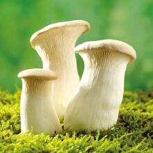 还在给孩子吃牛奶鸡蛋早餐吗,8个月宝宝喝白粥有没有营养