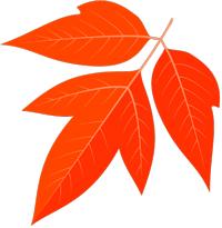 产科优秀护理集体,妇产科优秀护理团队