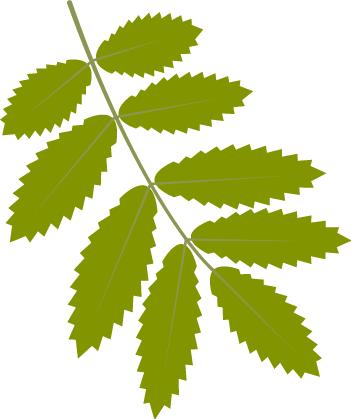 「优秀教学团队」妇产科：师徒相携，薪火相传