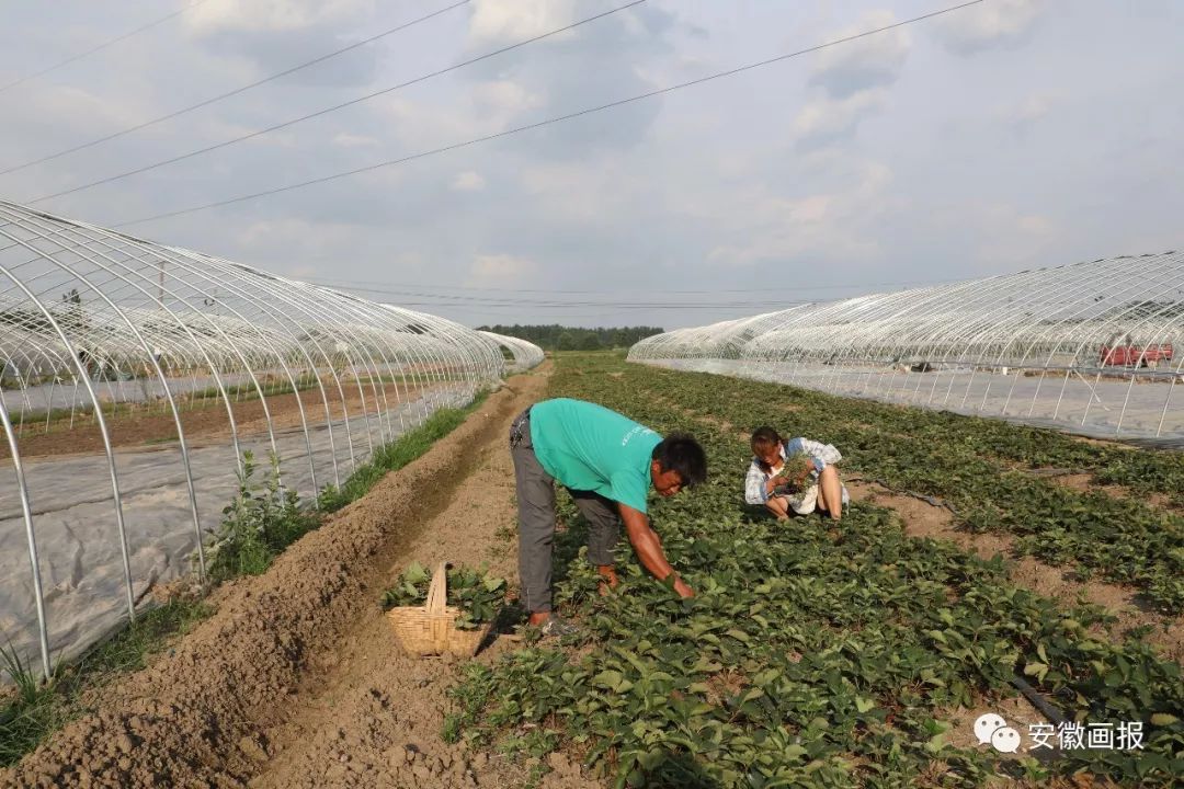 收看此心安处是吾乡专题片简报,观看此心安处是吾乡专题片