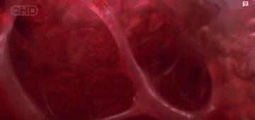 你身体里住着几个人格,你身体里住着谁