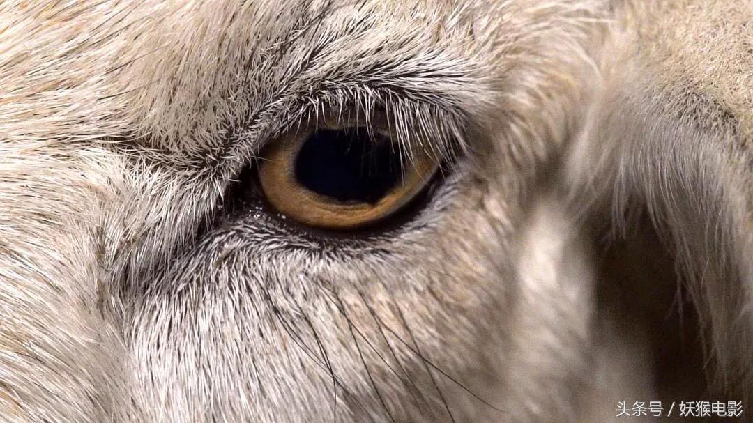 生活究竟有多么残酷,如果你觉得生活很苦不妨看一看