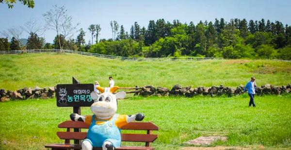 济州岛一年往返12次,到济州岛旅行行程