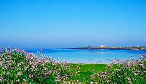 到济州岛旅行行程,济州岛一年往返12次