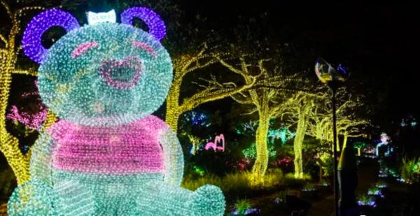 到济州岛旅行行程,济州岛一年往返12次