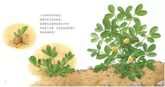 儿童益智书籍3-6岁绘本,宝宝图书1-3岁大绘本