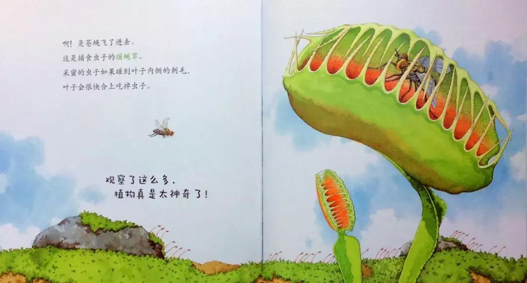 儿童益智书籍3-6岁绘本,宝宝图书1-3岁大绘本