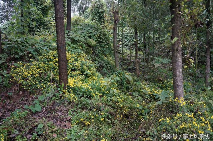 关公父子是怎么遇害的,关公败走麦城如何被杀