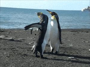 小时候没家长群,怀念没家长群的日子