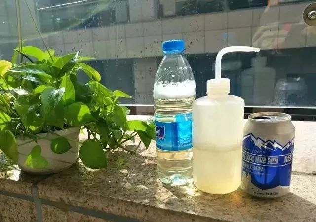 给花浇凉白开,给花浇多菌灵水会怎样