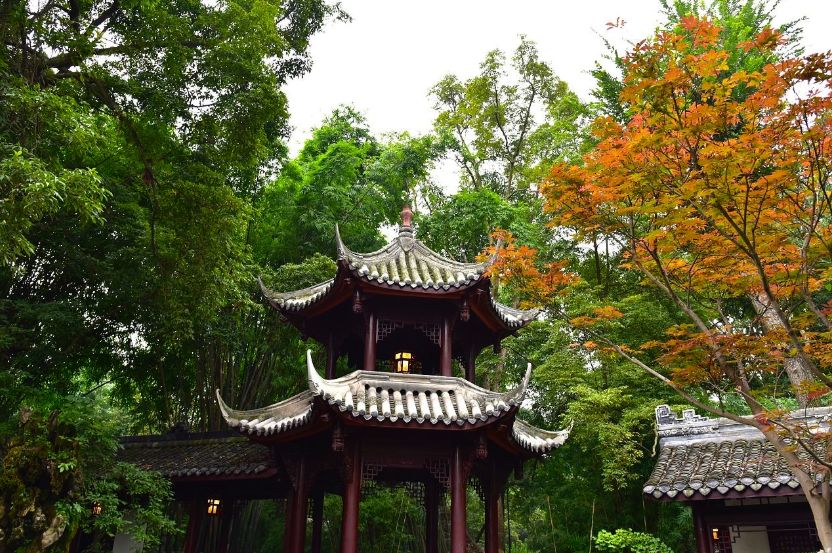 成都干货最全攻略,成都攻略3天吃喝