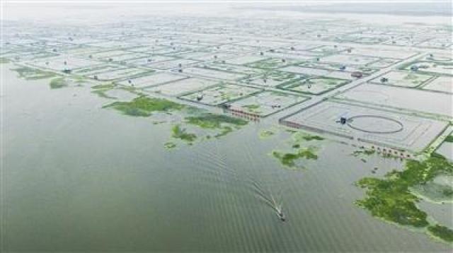 假冒阳澄湖大闸蟹怎么处罚,假的阳澄湖大闸蟹有什么不一样吗