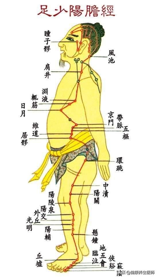 胆经健康操,胆经的正确敲打方法