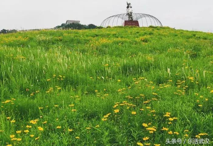 武汉高逼格婚礼,武汉婚礼殿堂