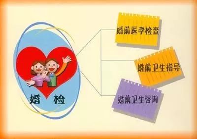 健康素养66条包含哪些知识,孕前应至少接受多少次产前检查