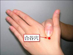 帮助入眠，提神醒脑，多掐几次，促进血脉流畅，人自然健康