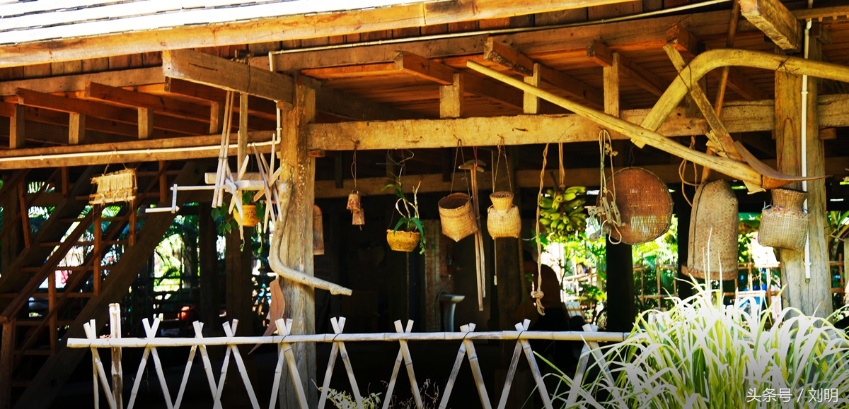 蚂蚁旅游专线云南之旅,蚂蚁旅游行