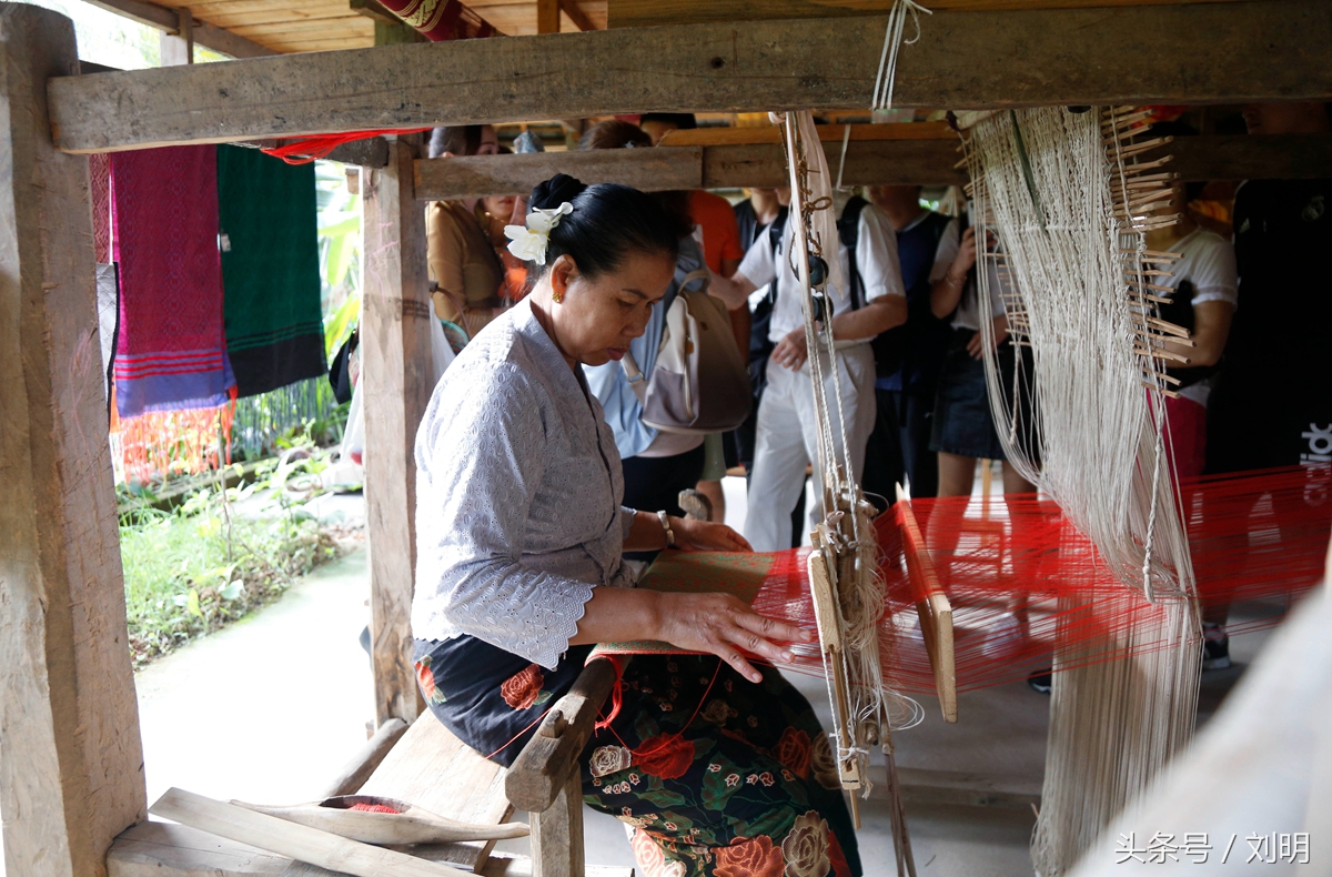 蚂蚁旅游专线云南之旅,蚂蚁旅游行