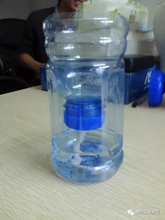 塑料瓶怎样变懒人浇花神器,塑料瓶可以怎么剪能种花