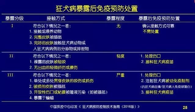 7岁男童被狗咬狂犬病发作死亡,狗咬伤小孩打狂犬疫苗后死亡