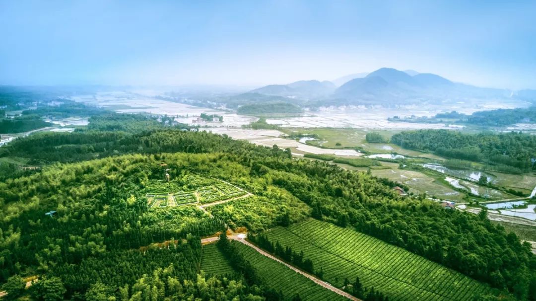 茶文化主题公园在哪,2021哈尔滨文化公园开园