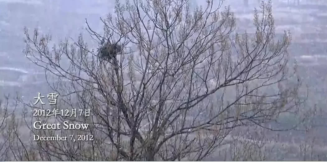 中国农村电影豆瓣,中国乡村大型纪录片