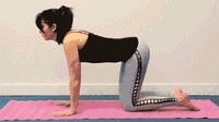 猫牛式动作讲解,猫牛式正确练习和错误练习