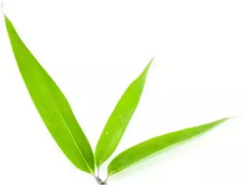 无敌江景大平层出租,御景湾附近两室一厅出租