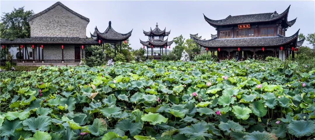 中秋没地方玩,中秋没地方旅游