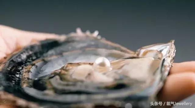 日本akoya珍珠值得收藏吗,日本珍珠akoya值不值得买
